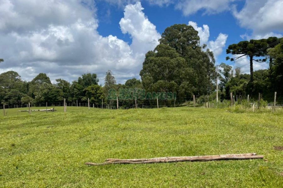 Terreno com 67996m², no bairro São Ciro em Caxias do Sul para Comprar