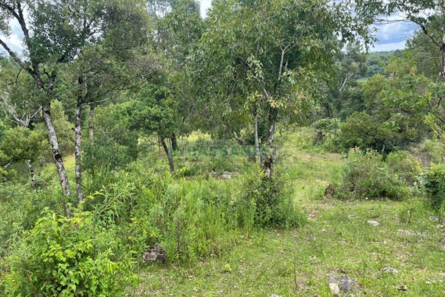 Terreno com 67996m², no bairro São Ciro em Caxias do Sul para Comprar