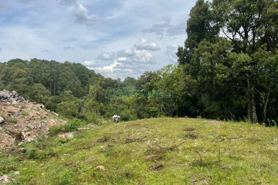 Terreno com 67996m², no bairro São Ciro em Caxias do Sul para Comprar