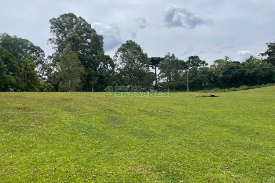 Terreno com 67996m², no bairro São Ciro em Caxias do Sul para Comprar