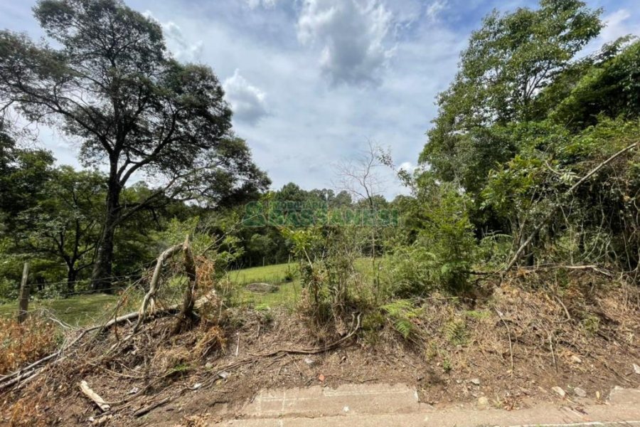 Terreno com 67996m², no bairro São Ciro em Caxias do Sul para Comprar