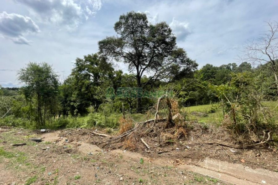 Terreno com 67996m², no bairro São Ciro em Caxias do Sul para Comprar
