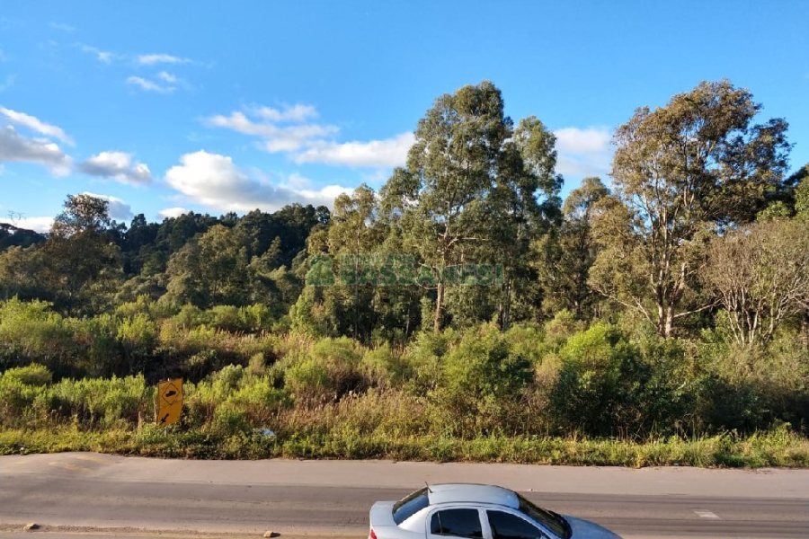 Terreno com 67996m², no bairro São Ciro em Caxias do Sul para Comprar