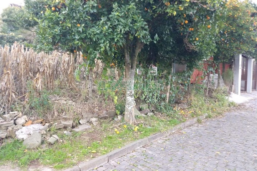 Terreno, no bairro São José em Caxias do Sul para Comprar