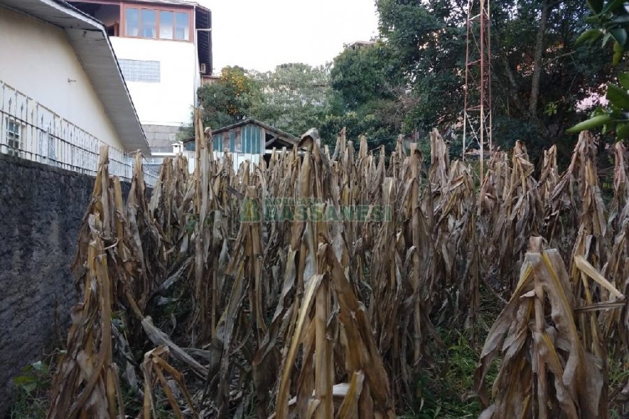 Terreno, no bairro São José em Caxias do Sul para Comprar