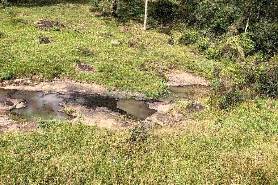 Chácara, no bairro Vila Seca em Caxias do Sul para Comprar
