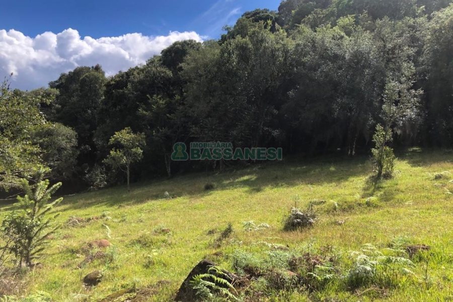 Chácara, no bairro Vila Seca em Caxias do Sul para Comprar