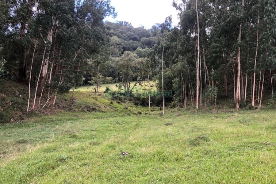Chácara, no bairro Vila Seca em Caxias do Sul para Comprar