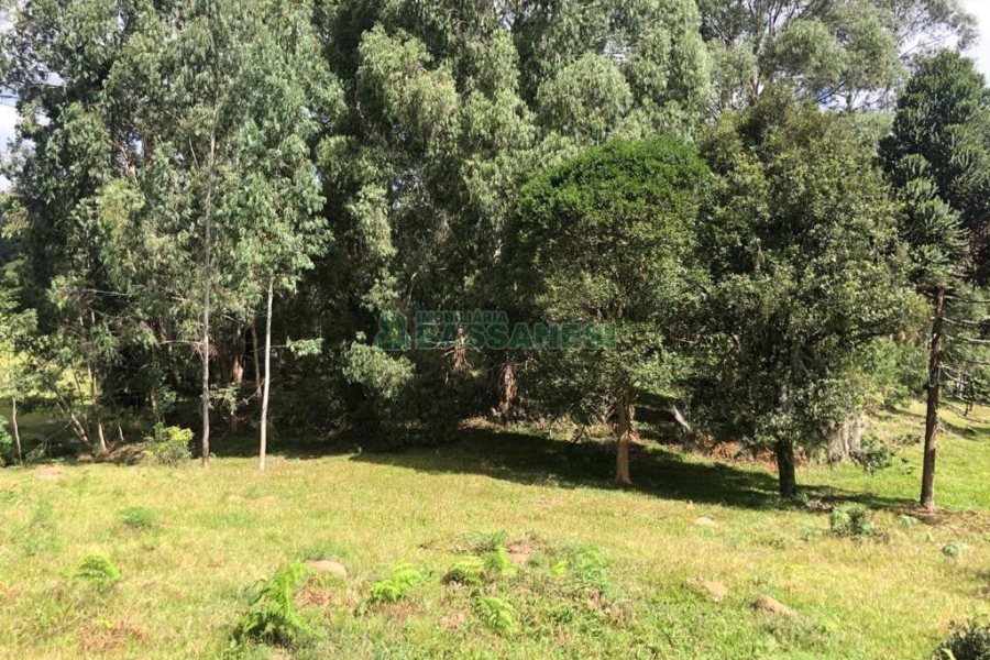 Chácara, no bairro Vila Seca em Caxias do Sul para Comprar