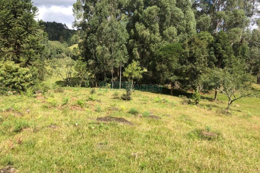 Chácara, no bairro Vila Seca em Caxias do Sul para Comprar