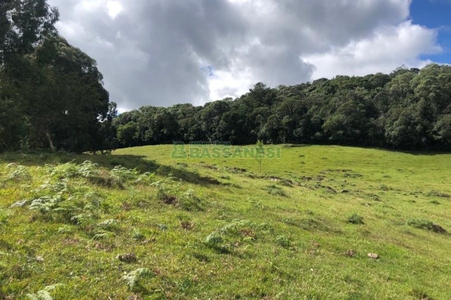 Chácara, no bairro Vila Seca em Caxias do Sul para Comprar