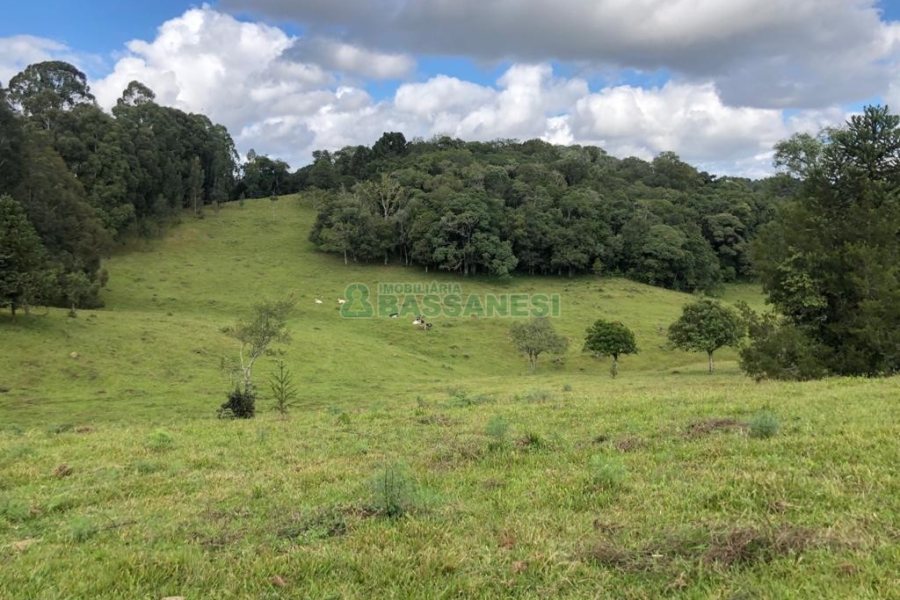 Chácara, no bairro Vila Seca em Caxias do Sul para Comprar