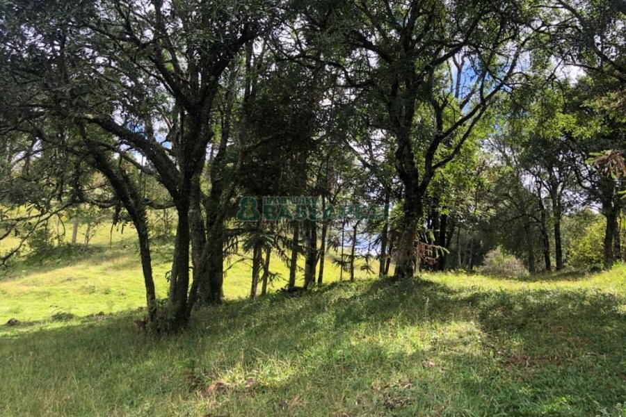 Chácara, no bairro Vila Seca em Caxias do Sul para Comprar