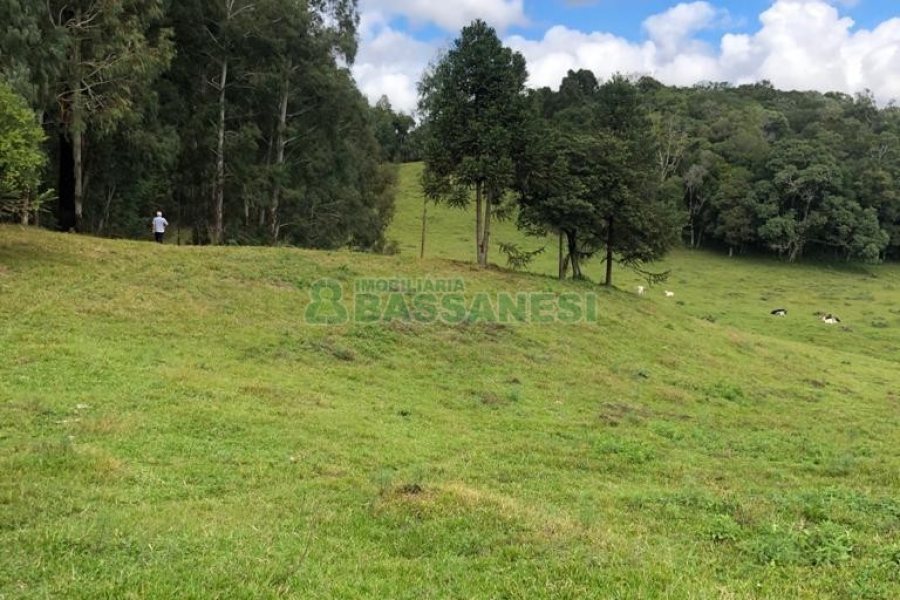 Chácara, no bairro Vila Seca em Caxias do Sul para Comprar