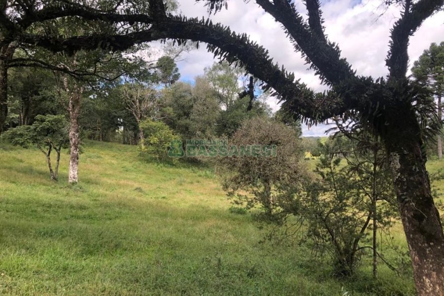 Chácara, no bairro Vila Seca em Caxias do Sul para Comprar