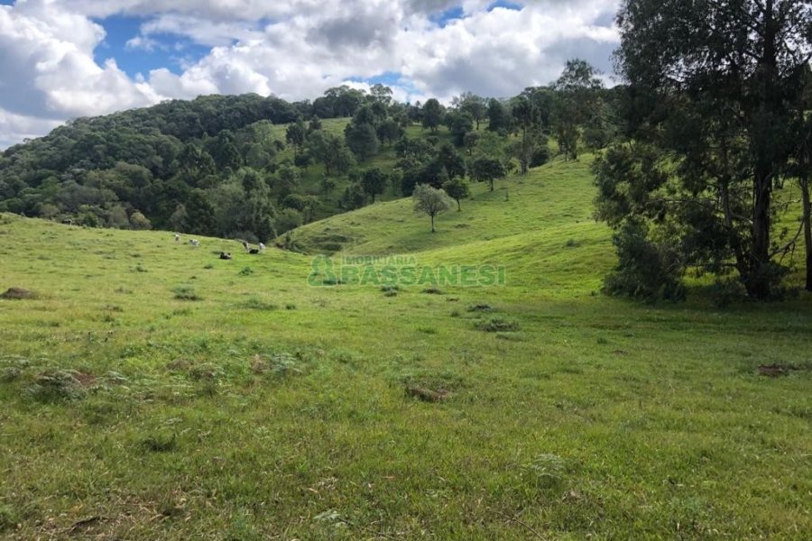 Chácara, no bairro Vila Seca em Caxias do Sul para Comprar