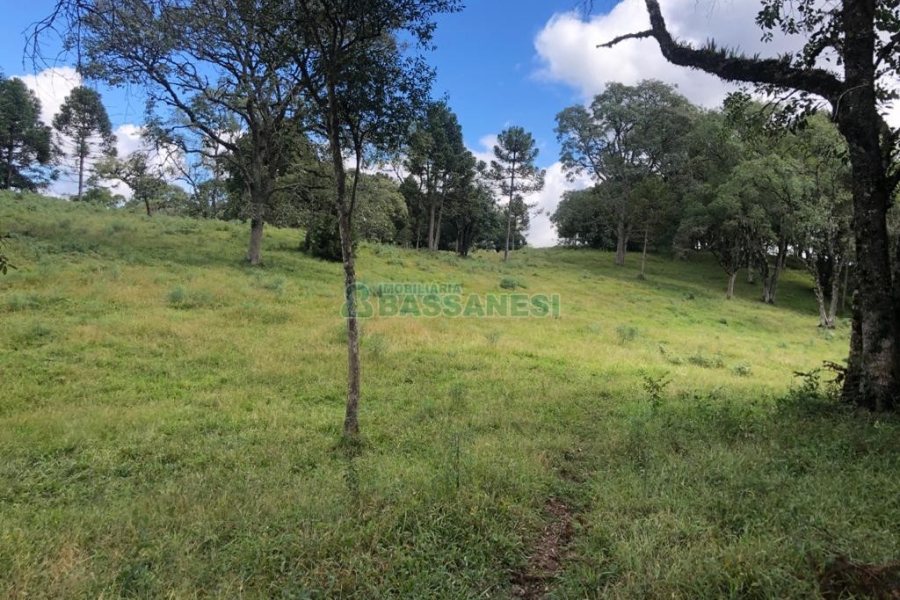 Chácara, no bairro Vila Seca em Caxias do Sul para Comprar
