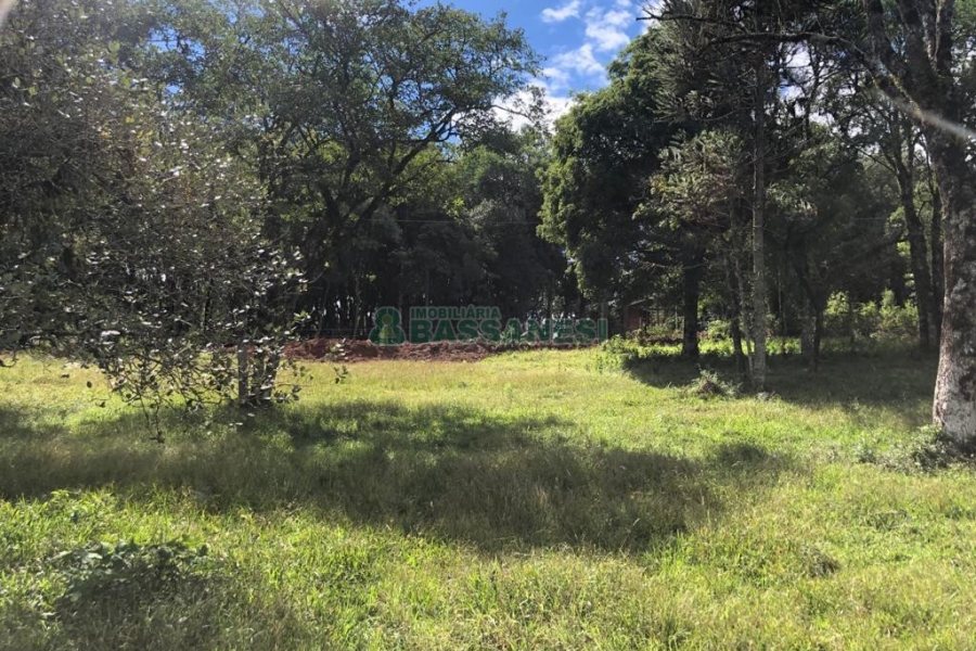 Chácara, no bairro Vila Seca em Caxias do Sul para Comprar