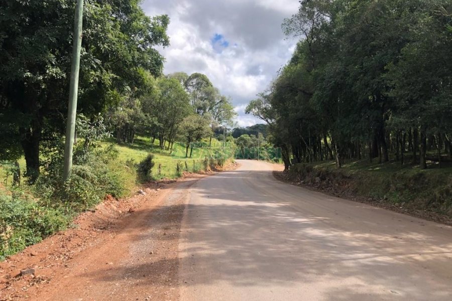 Chácara, no bairro Vila Seca em Caxias do Sul para Comprar