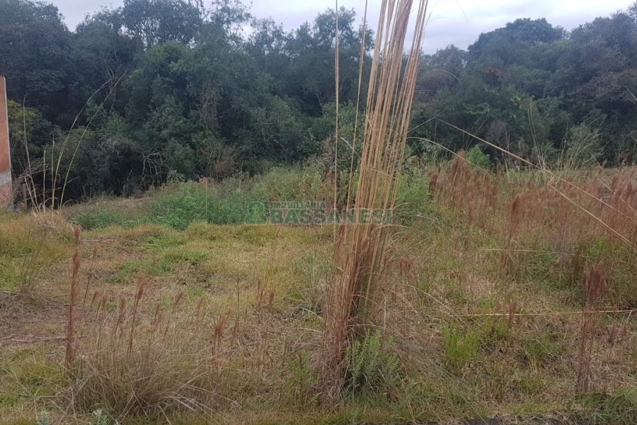 Terreno, no bairro Monte Bérico em Caxias do Sul para Comprar