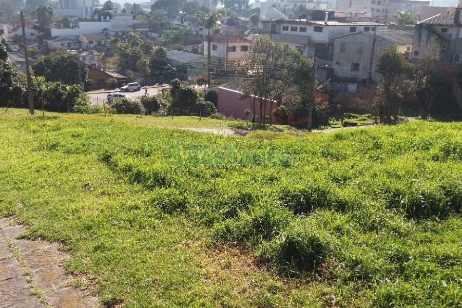 Terreno, no bairro Marechal Floriano em Caxias do Sul para Comprar