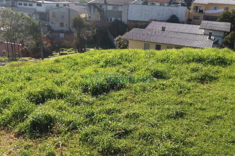 Terreno, no bairro Marechal Floriano em Caxias do Sul para Comprar