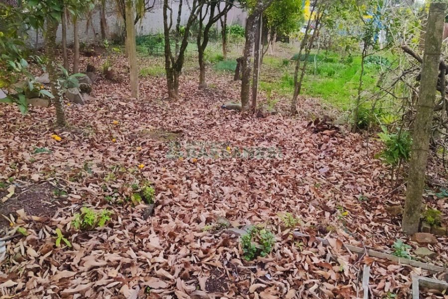 Casa Comercial com 250m², 4 dormitórios, 4 vagas, no bairro Lourdes em Caxias do Sul para Alugar ou Comprar