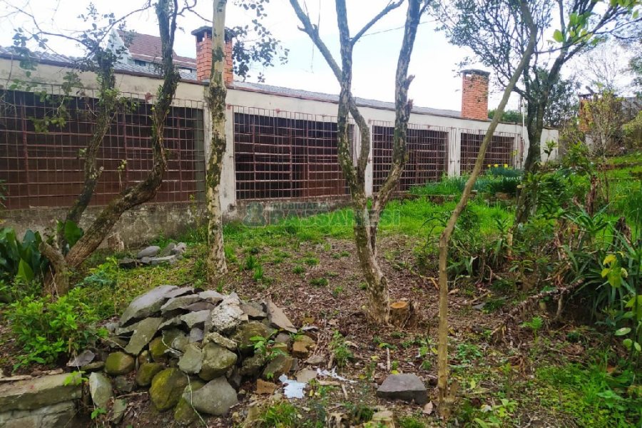 Casa Comercial com 250m², 4 dormitórios, 4 vagas, no bairro Lourdes em Caxias do Sul para Alugar ou Comprar