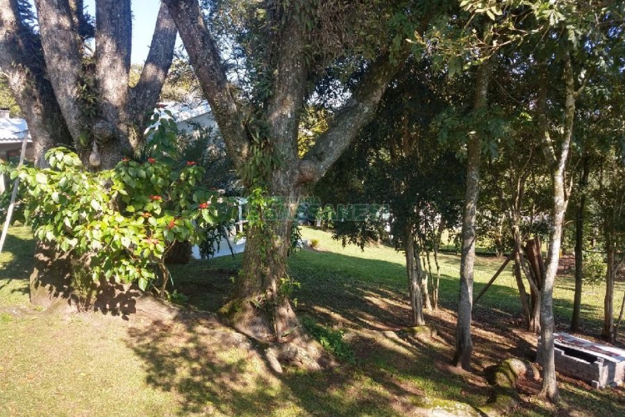 Chácara com 277m², 4 dormitórios, 2 vagas, no bairro Pedancino em Caxias do Sul para Comprar