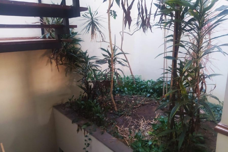 Casa Comercial com 530m², 5 dormitórios, 2 vagas, no bairro Cinqüentenário em Caxias do Sul para Alugar