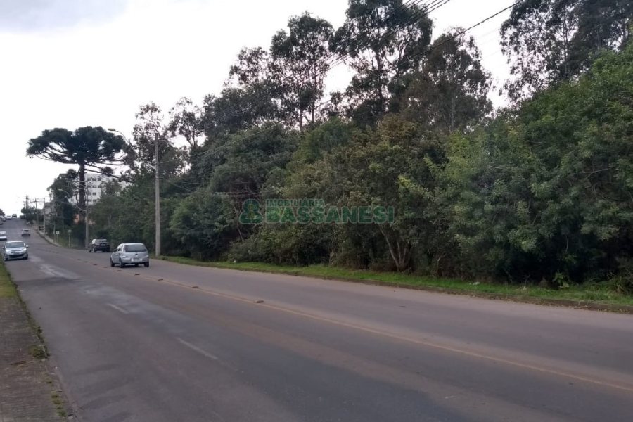 Terreno com 20349m², no bairro São Virgílio em Caxias do Sul para Comprar