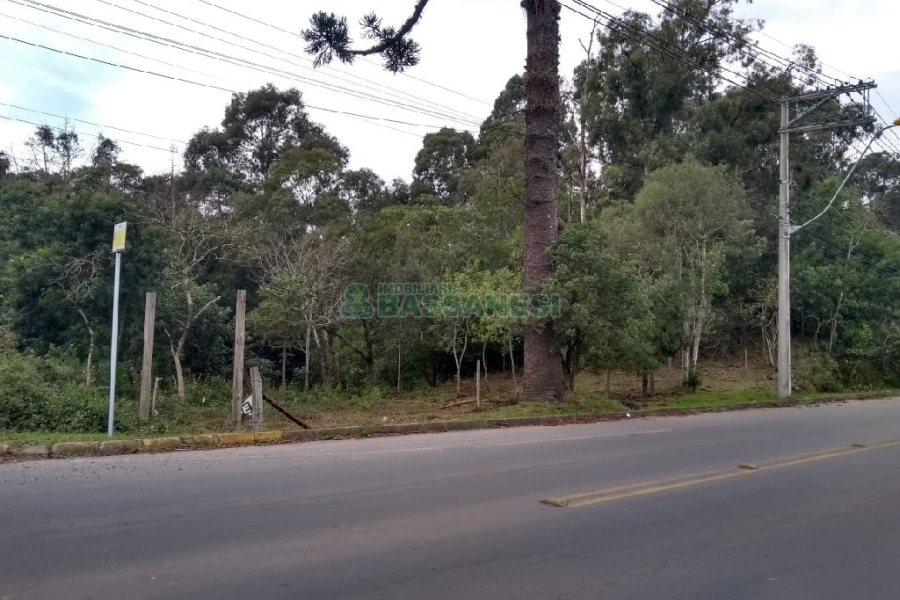 Terreno com 20349m², no bairro São Virgílio em Caxias do Sul para Comprar