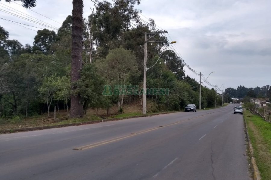 Terreno com 20349m², no bairro São Virgílio em Caxias do Sul para Comprar