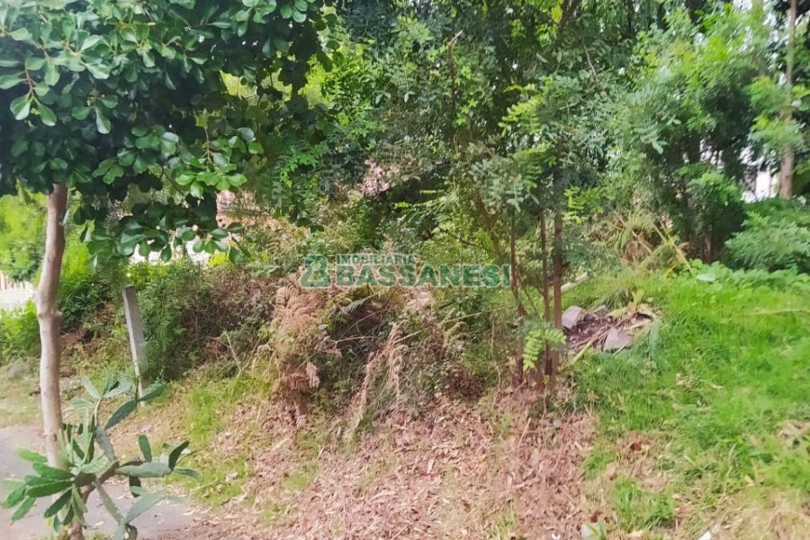 Terreno, no bairro Sanvitto em Caxias do Sul para Comprar