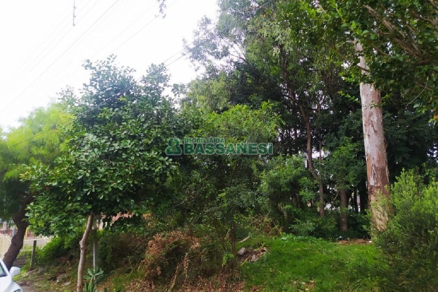 Terreno, no bairro Sanvitto em Caxias do Sul para Comprar