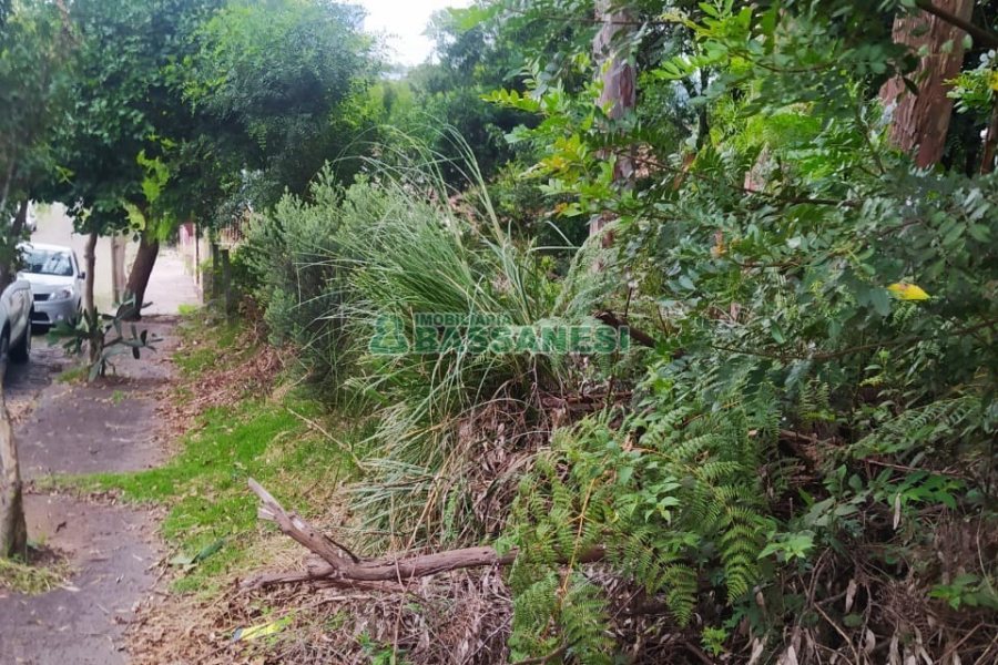 Terreno, no bairro Sanvitto em Caxias do Sul para Comprar