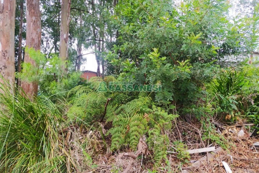 Terreno, no bairro Sanvitto em Caxias do Sul para Comprar