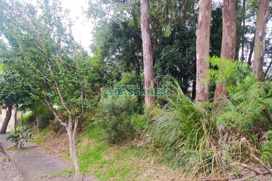 Terreno, no bairro Sanvitto em Caxias do Sul para Comprar
