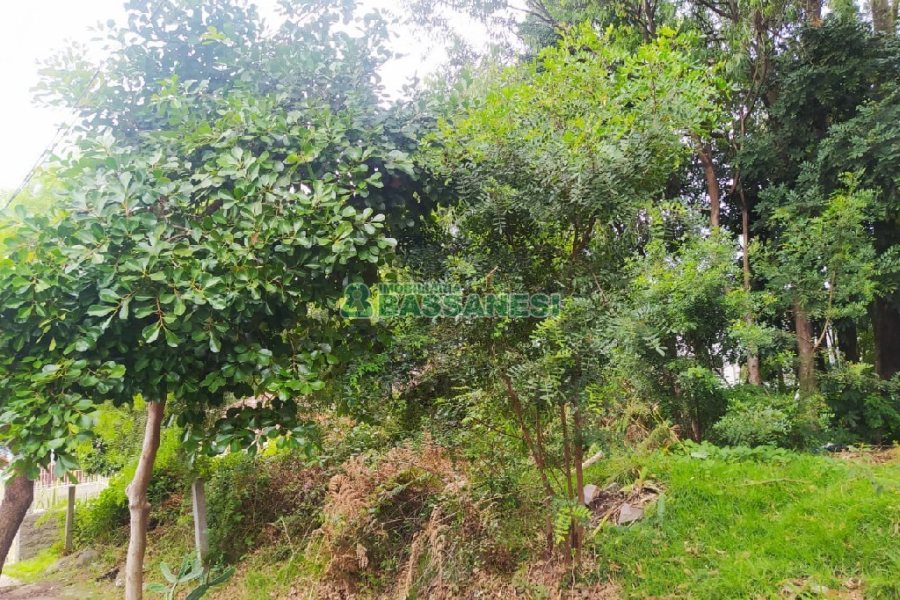 Terreno, no bairro Sanvitto em Caxias do Sul para Comprar