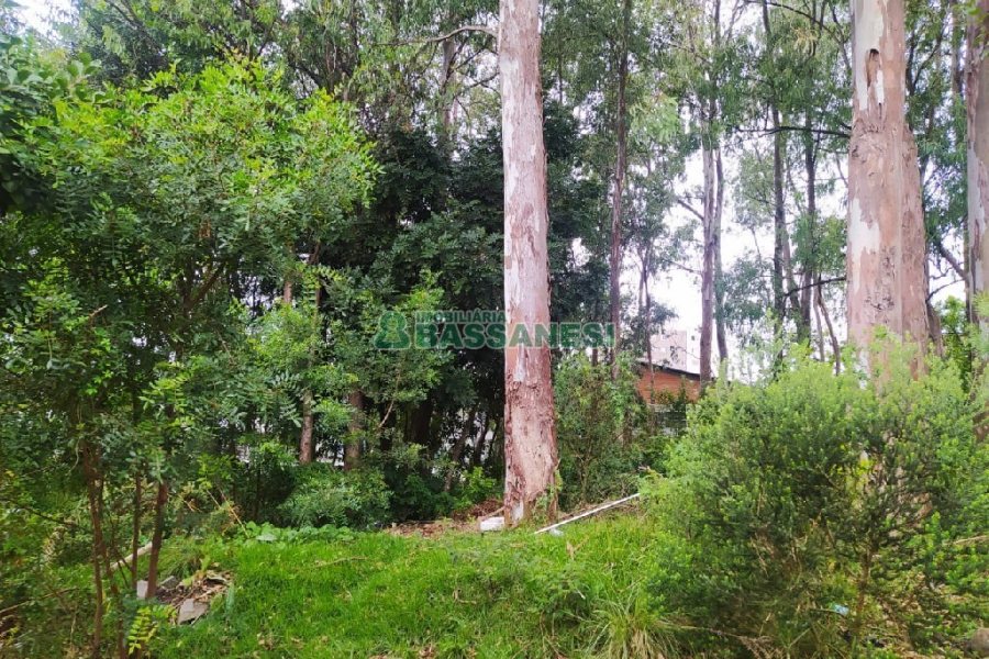 Terreno, no bairro Sanvitto em Caxias do Sul para Comprar