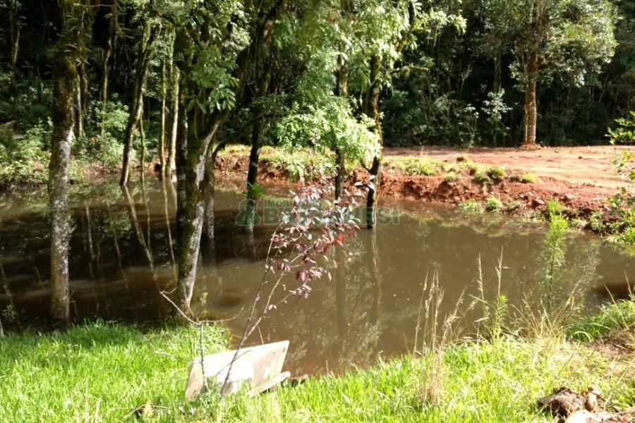 Chácara, no bairro Parada Cristal em Caxias do Sul para Comprar