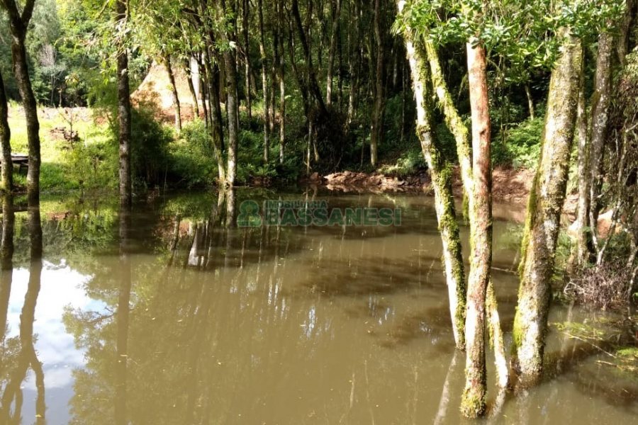 Chácara, no bairro Parada Cristal em Caxias do Sul para Comprar