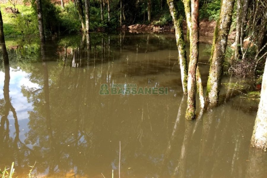 Chácara, no bairro Parada Cristal em Caxias do Sul para Comprar