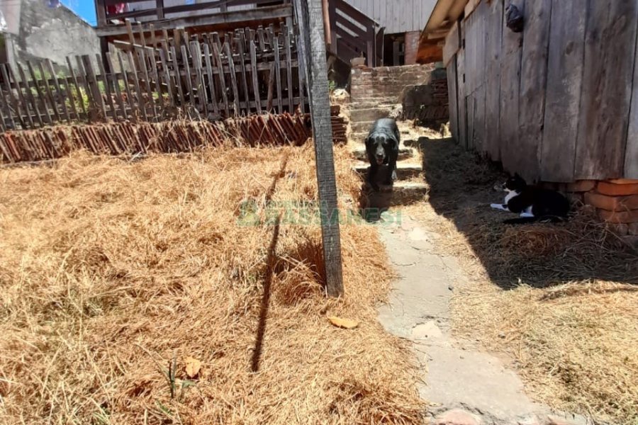 Casa com 100m², 3 dormitórios, 1 vaga, no bairro São Leopoldo em Caxias do Sul para Comprar