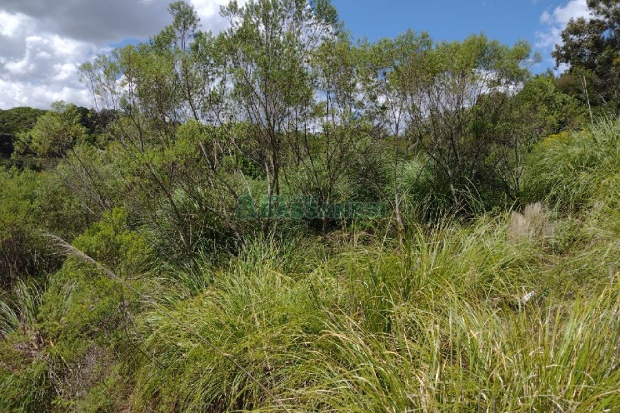 Terreno, no bairro Monte Bérico em Caxias do Sul para Comprar