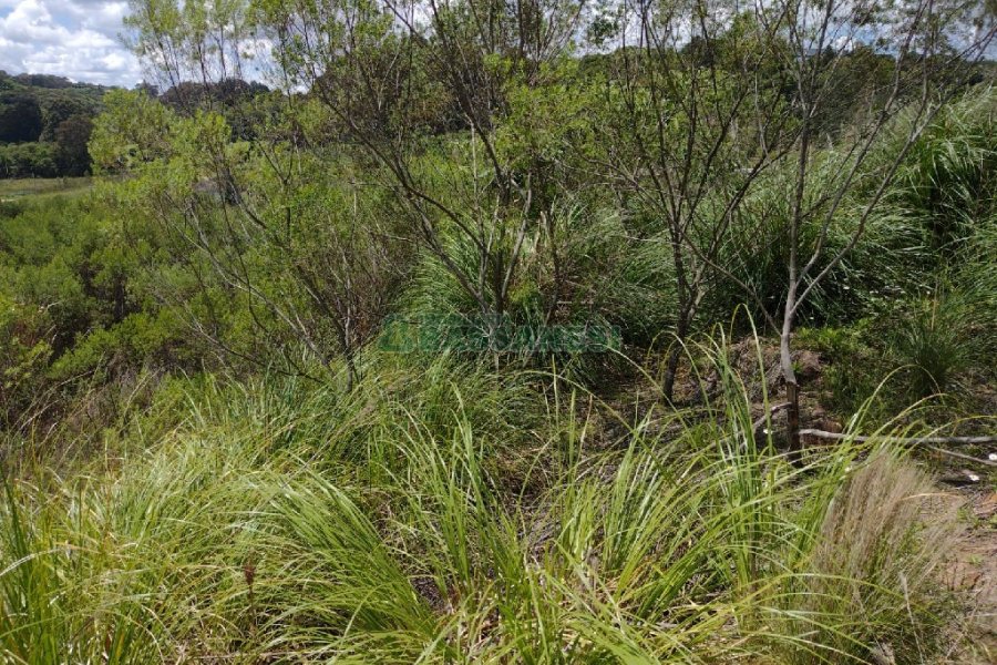 Terreno, no bairro Monte Bérico em Caxias do Sul para Comprar
