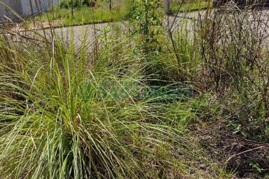 Terreno com 360m², no bairro Sanvitto em Caxias do Sul para Comprar