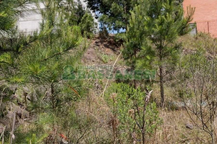Terreno com 360m², no bairro Sanvitto em Caxias do Sul para Comprar