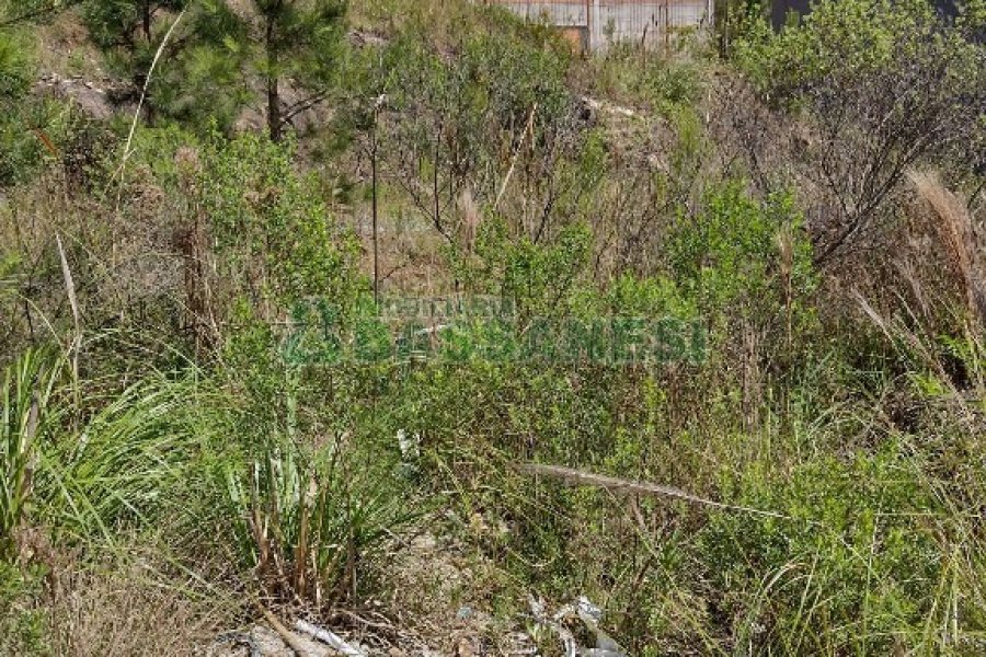 Terreno com 360m², no bairro Sanvitto em Caxias do Sul para Comprar