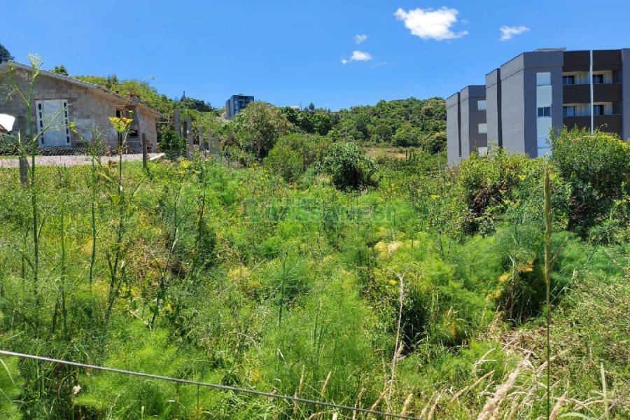 Terreno, no bairro Nossa Senhora das Graças em Caxias do Sul para Comprar